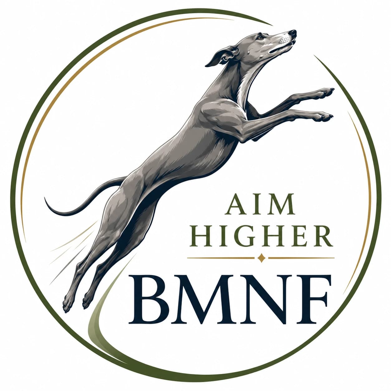 Aim Higher — Better Medicine Naturally Foundation